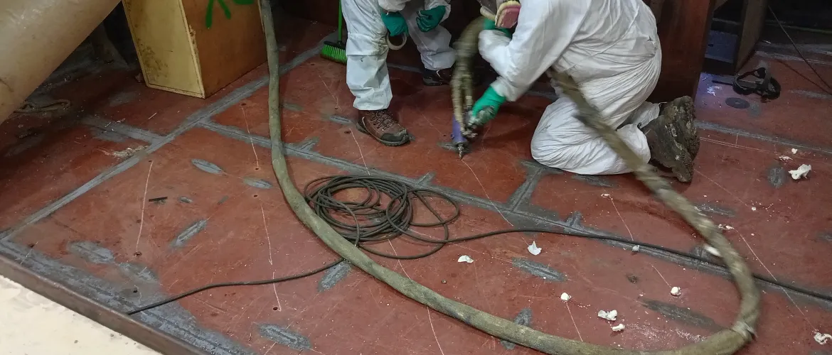 Inyección Bodegas y Sala de Comedor Embarcación Don Boris